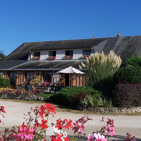 Logis Hotel Restaurant Le Vieux Fusil Soings-en-Sologne Dış mekan fotoğraf